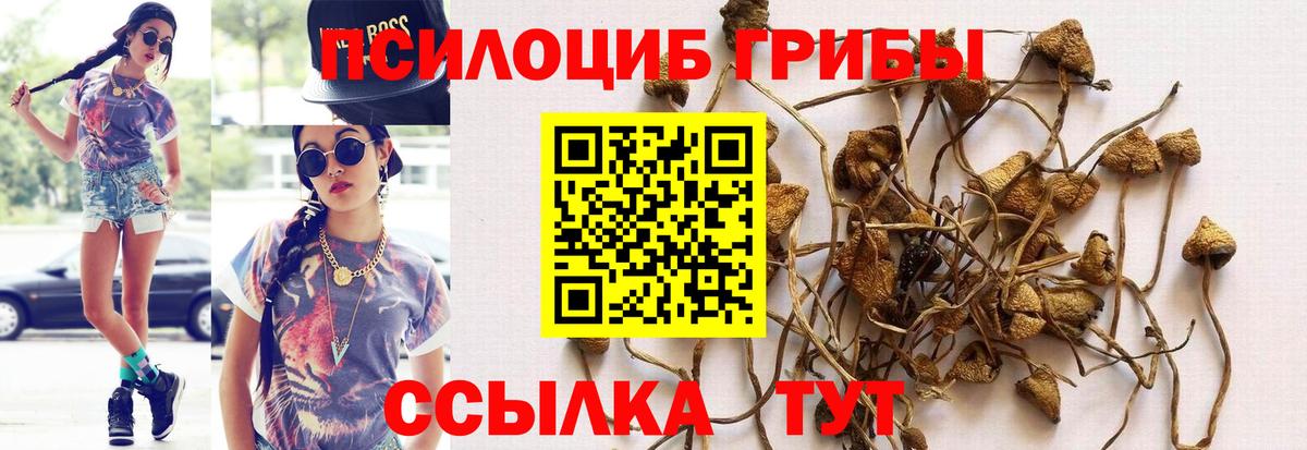 Псилоцибиновые грибы Magic Shrooms Новотроицк